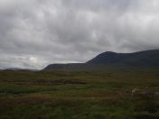 039.jpg - 2010:08:07 07:57:56