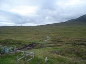 041.jpg - 2010:08:07 08:01:32