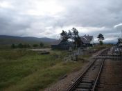 042.jpg - 2010:08:07 08:03:13