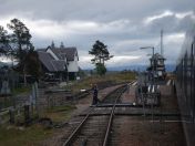 043.jpg - 2010:08:07 08:03:40