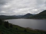 044.jpg - 2010:08:07 08:10:11