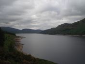 047.jpg - 2010:08:07 08:13:41