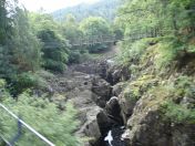 053.jpg - 2010:08:07 08:31:10