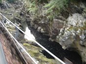 054.jpg - 2010:08:07 08:31:14