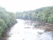 057.jpg - 2010:08:07 08:39:03