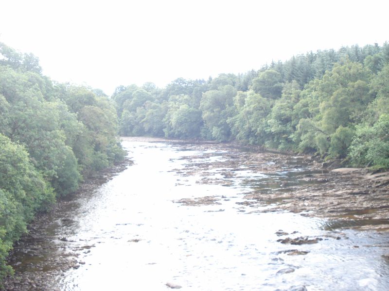 Viewing photos→2010→2010-08-07→057