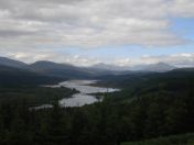 064.jpg - 2010:08:07 09:53:35