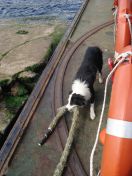 071.jpg - 2010:08:07 11:23:48