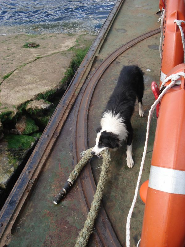 Viewing photos→2010→2010-08-07→071