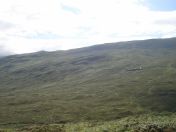 077.jpg - 2010:08:07 11:37:54