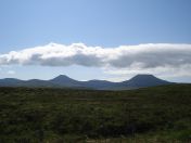 085.jpg - 2010:08:07 14:25:29