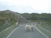 124.jpg - 2010:08:08 12:51:56