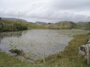 125.jpg - 2010:08:08 13:11:59