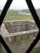 133.jpg - 2010:08:08 14:38:27