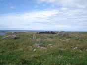 163.jpg - 2010:08:09 13:52:10