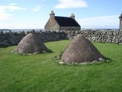 174.jpg - 2010:08:09 15:05:06