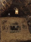 175.jpg - 2010:08:09 15:06:04