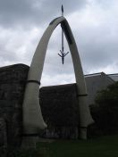 193.jpg - 2010:08:09 15:43:54