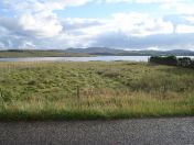 195.jpg - 2010:08:09 18:11:16