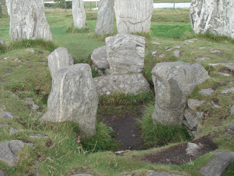 Viewing photos→2010→2010-08-07→203