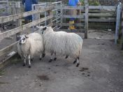 208.jpg - 2010:08:10 09:15:04