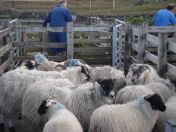 209.jpg - 2010:08:10 09:16:49