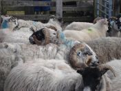 210.jpg - 2010:08:10 09:18:25