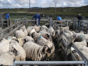 211.jpg - 2010:08:10 09:21:37