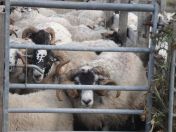 212.jpg - 2010:08:10 09:28:13