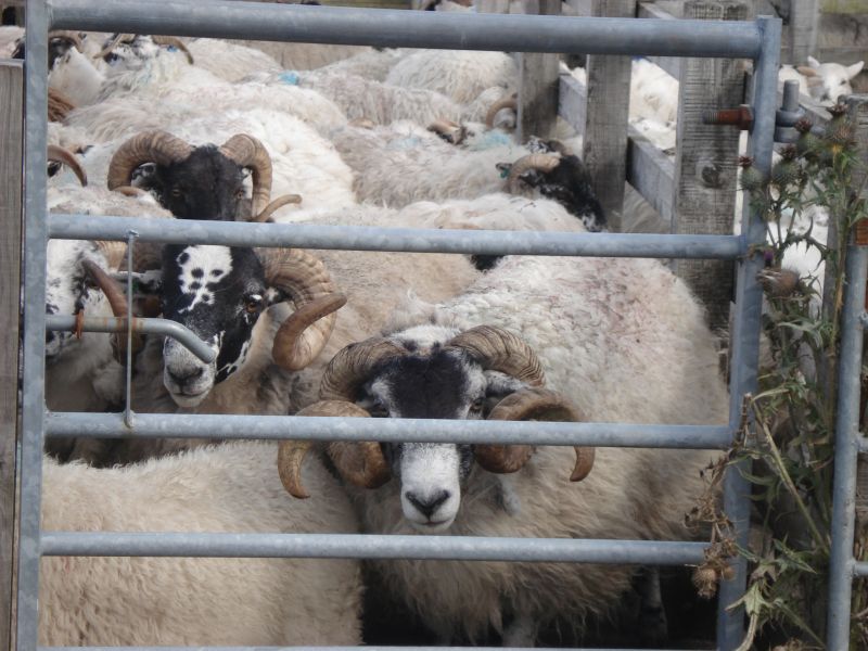 Viewing photos→2010→2010-08-07→212