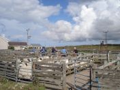 213.jpg - 2010:08:10 09:41:48