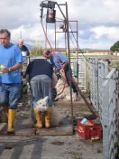 214.jpg - 2010:08:10 09:55:18