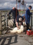 215.jpg - 2010:08:10 09:56:43