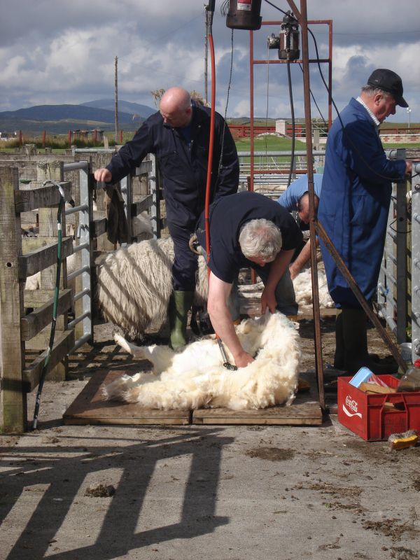 Viewing photos→2010→2010-08-07→215