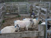 216.jpg - 2010:08:10 10:04:54