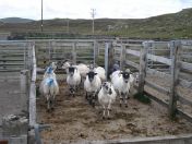 217.jpg - 2010:08:10 10:06:56