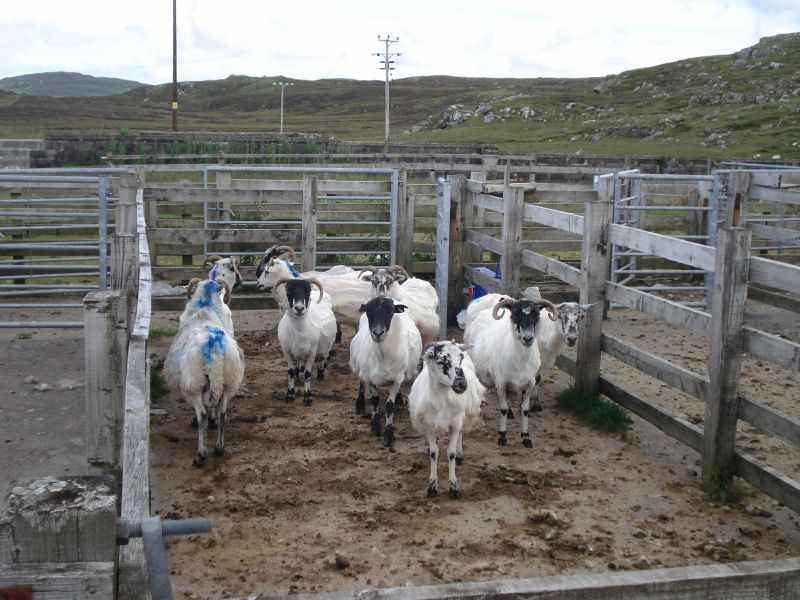 Viewing photos→2010→2010-08-07→217