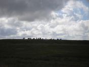 218.jpg - 2010:08:10 10:08:21