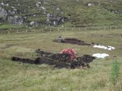 221.jpg - 2010:08:10 11:14:01