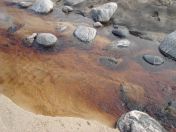 223.jpg - 2010:08:10 11:33:49