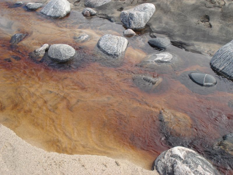 Viewing photos→2010→2010-08-07→223