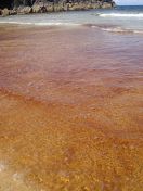 238.jpg - 2010:08:10 12:00:23