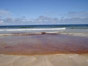 239.jpg - 2010:08:10 12:00:55