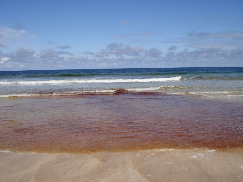 Viewing photos→2010→2010-08-07→239