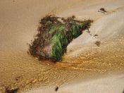 245.jpg - 2010:08:10 12:04:05