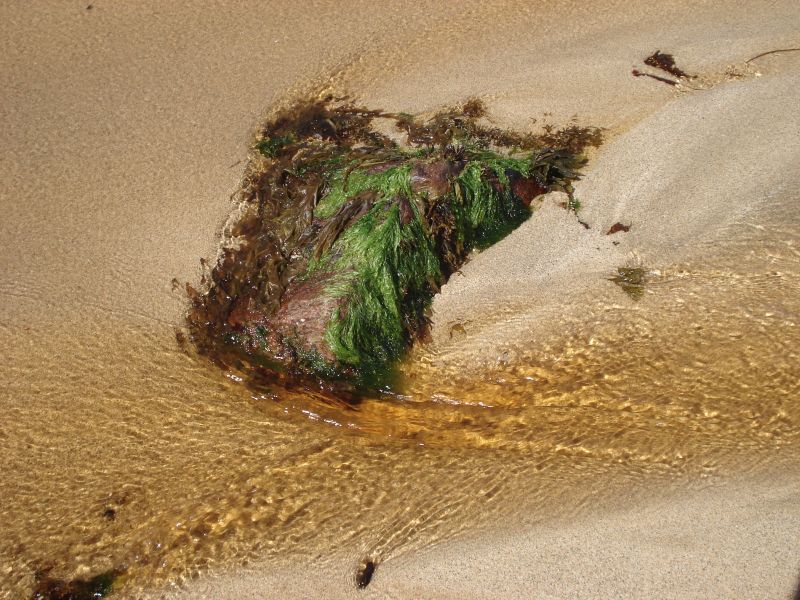 Viewing photos→2010→2010-08-07→245