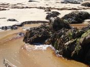 246.jpg - 2010:08:10 12:04:39