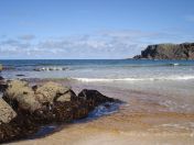 248.jpg - 2010:08:10 12:07:41