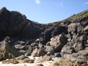 249.jpg - 2010:08:10 12:07:50