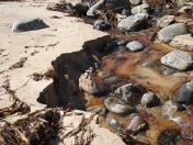 255.jpg - 2010:08:10 12:11:22